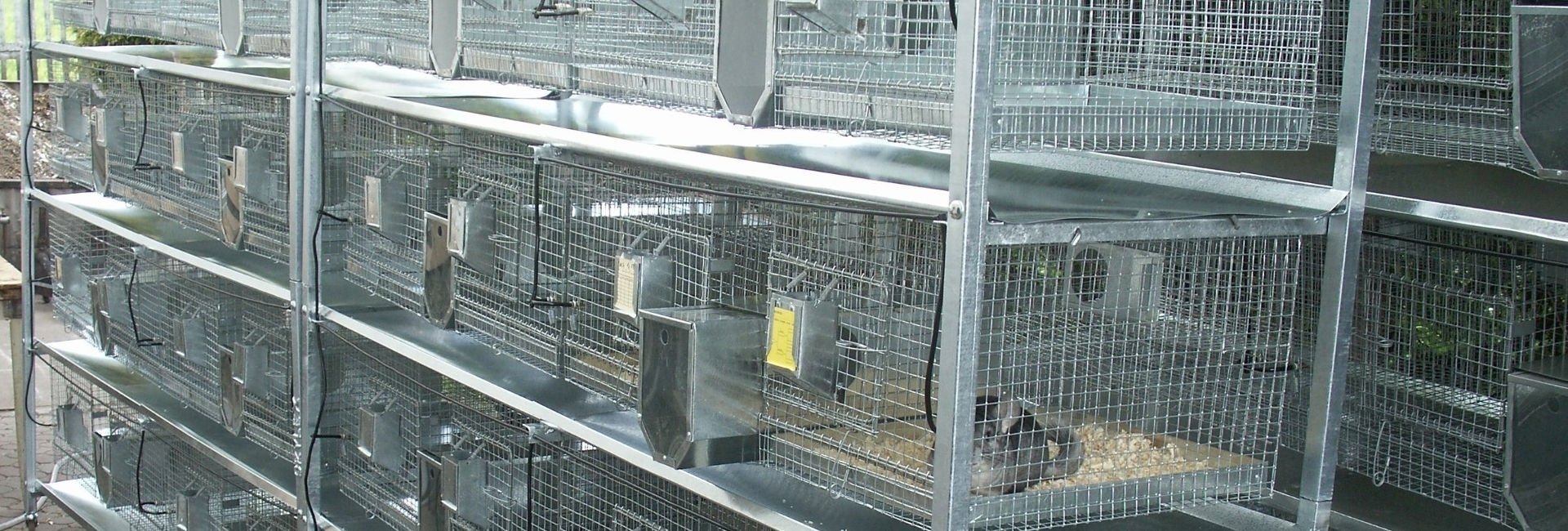 SZYLEX разведение шиншилл кормить кормовые клетки шиншилл в Польше 03
