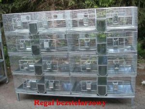 SZYLEX разведение шиншилл кормить кормовые клетки шиншилл в Польше 07