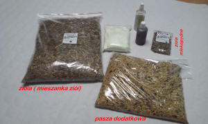 SZYLEX разведение шиншилл кормить кормовые клетки шиншилл в Польше 11